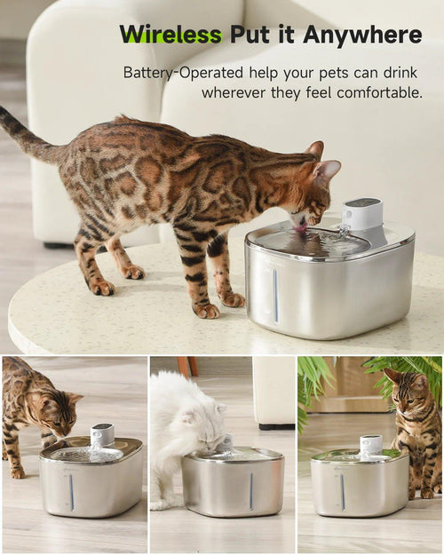 Fountain Maintenance Kit – APETDOLA Compatible - TailTrove™