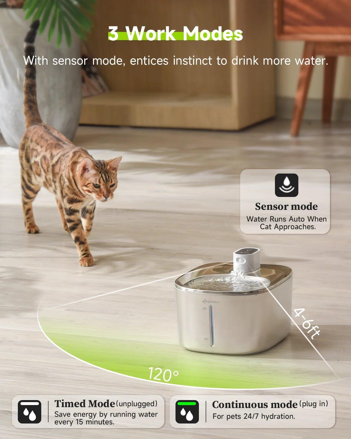 Fountain Maintenance Kit – APETDOLA Compatible - TailTrove™