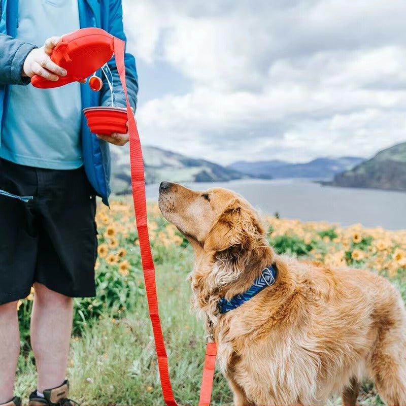 The Ultimate 4 - in - 1 Dog Leash for Hydration, Safety & Clean Walks - TailTrove™