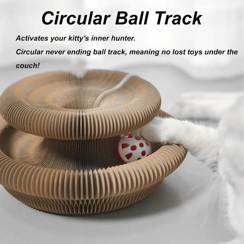 Transformable Cat Scratcher and Play Bed with Built - in Ball Toy - TailTrove™