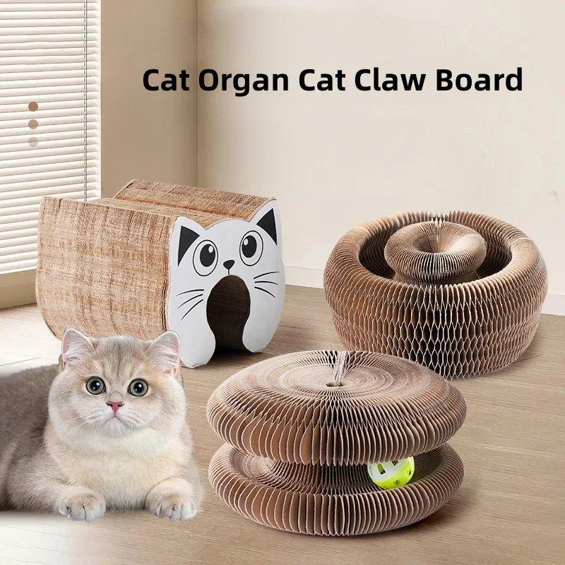 Transformable Cat Scratcher and Play Bed with Built - in Ball Toy - TailTrove™