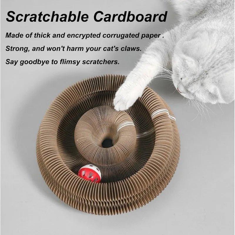 Transformable Cat Scratcher and Play Bed with Built - in Ball Toy - TailTrove™