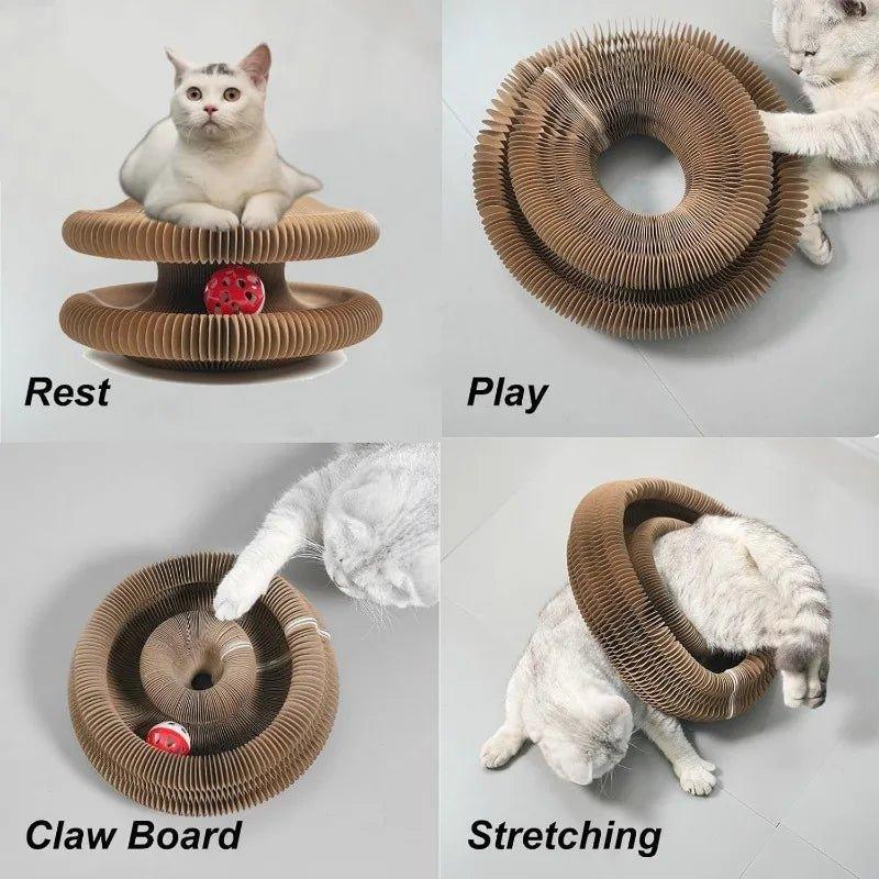 Transformable Cat Scratcher and Play Bed with Built - in Ball Toy - TailTrove™